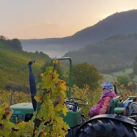 Lägenhet Maison Mellie